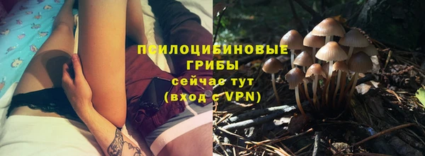мяу мяу мука Арсеньев