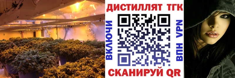 цены наркотик  МЕГА ссылки  Дистиллят ТГК гашишное масло  Поронайск 