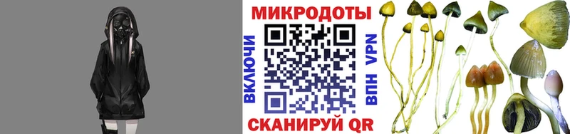 ссылка на мегу ТОР  Поронайск  Псилоцибиновые грибы мухоморы 